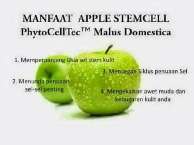 Nu Amoorea Stemcell Ecer 15gr Indonesia