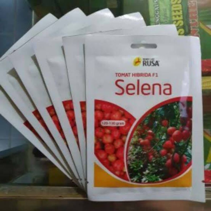 Benih TOMAT SELENA F1 10 GRAM