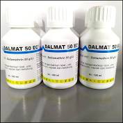 Dalmat 50ec Obat Kutu Anjing &amp; Kucing Mandi 100ml