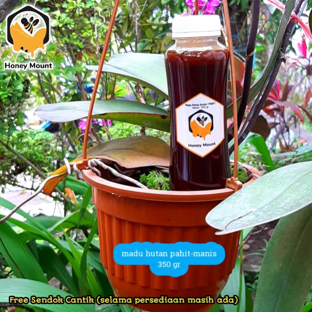 

Madu peras hutan (hitam pahit-manis) 350 gr