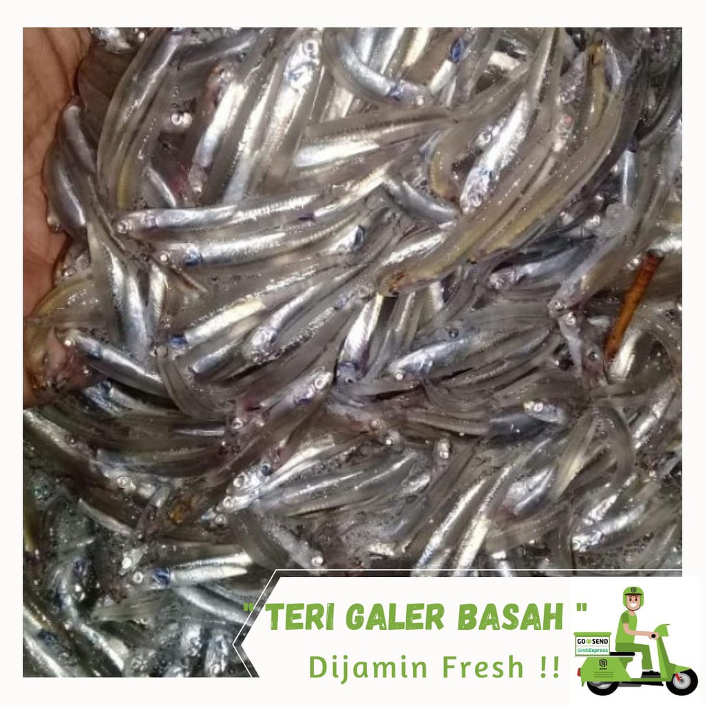

Ikan Teri Galer Segar 1 Kg