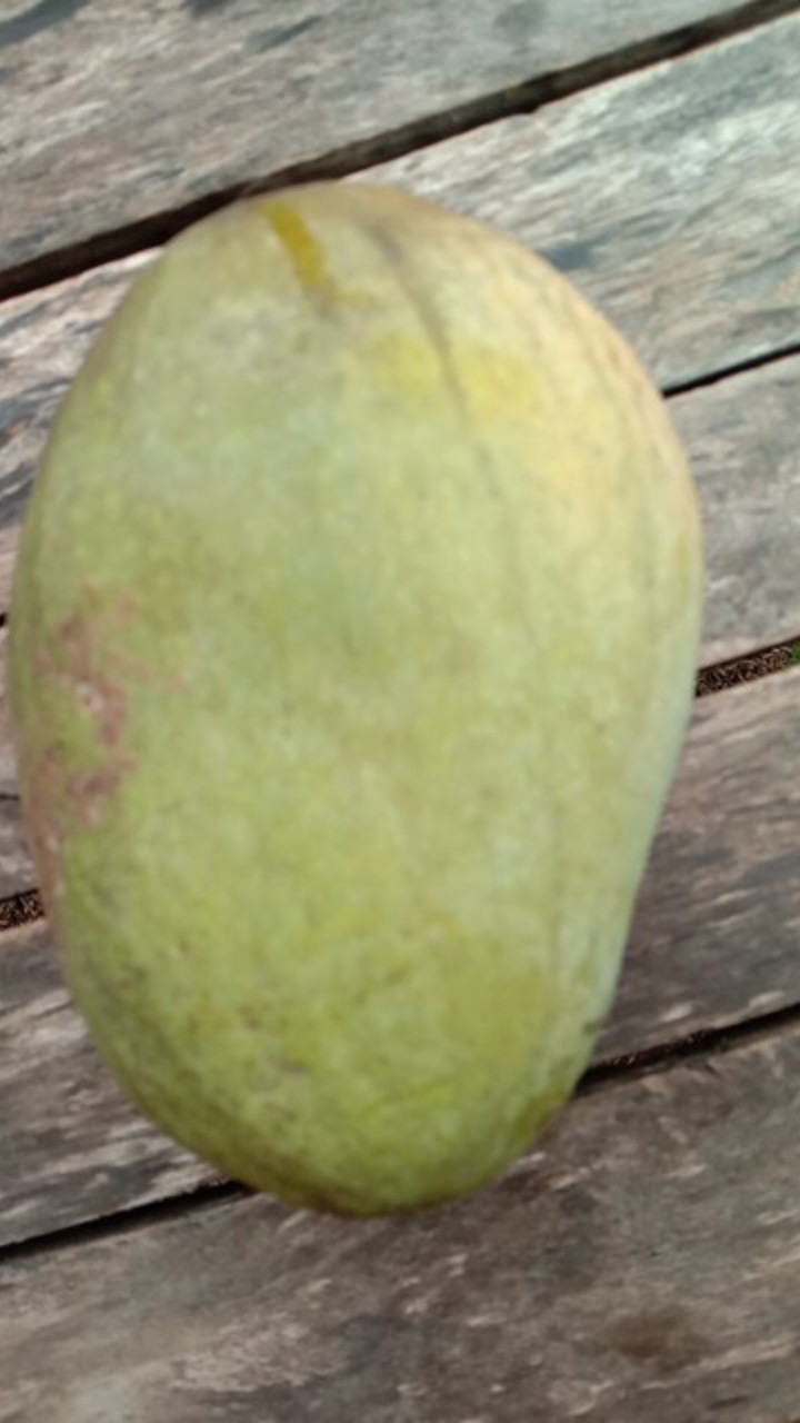 Baju Batik Pria Kemeja Batik Pria Lengan Pendek Size M L Xl Xxl