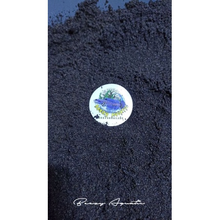 Pasir Moza Grade A Pasir Aquarium Ikan Predator CHANNA Aquascape