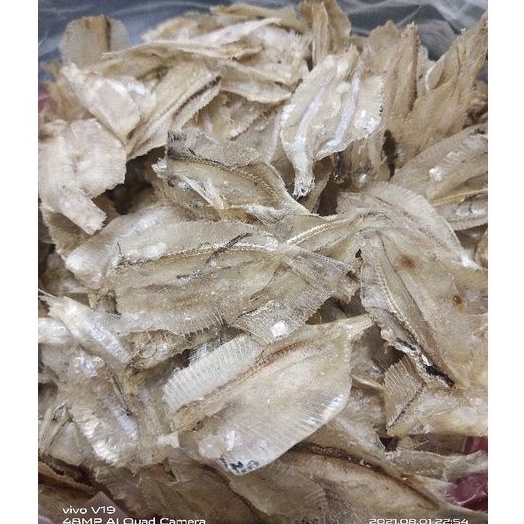 

Ikan kalapan/pakang tawar/ ikan tipis 100g