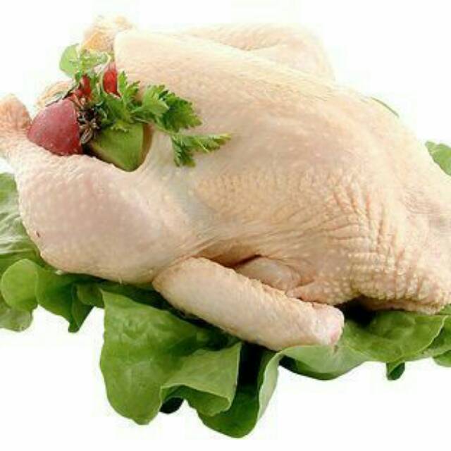 

chiken whole / ayam broiler /ayam negri