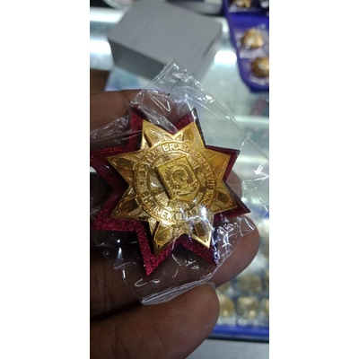 pin purna ipdn/pin ipdn lapis mica