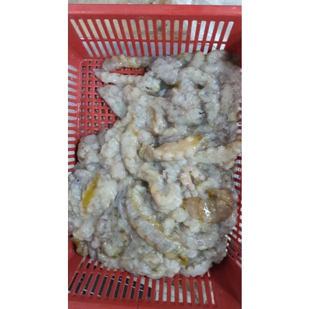 

UDANG API BEKU FRESH