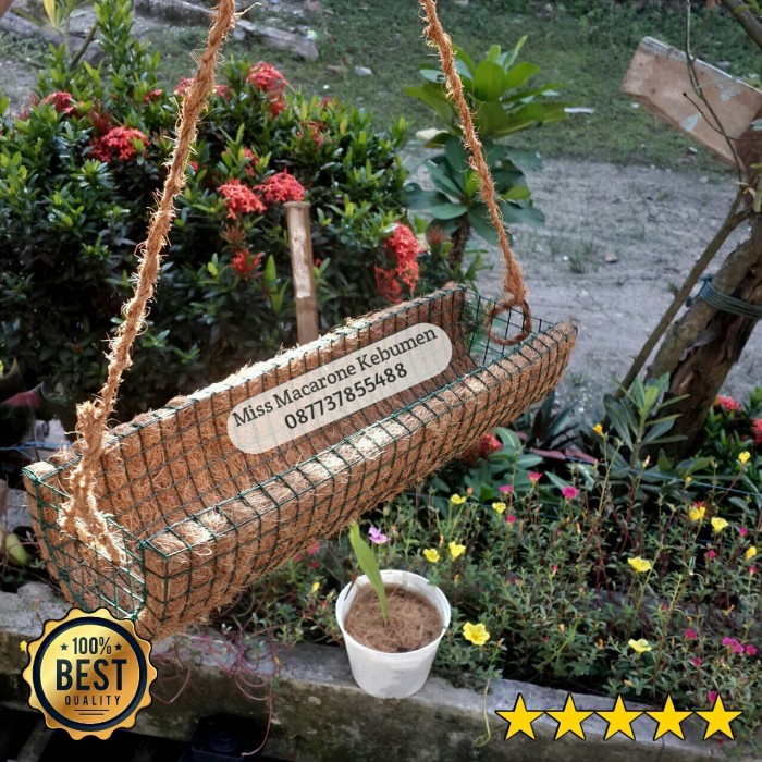 TERMURAH.. pot mossrose sabut kelapa bunga krokot panjang gantung sabut kelapa 35cm