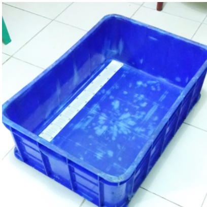 BAK UKUR IKAN KOI 56CM BAHAN BOX PLASTIK PxLxT 60x40x19CM  + STIKER UKUR ANTI AIR