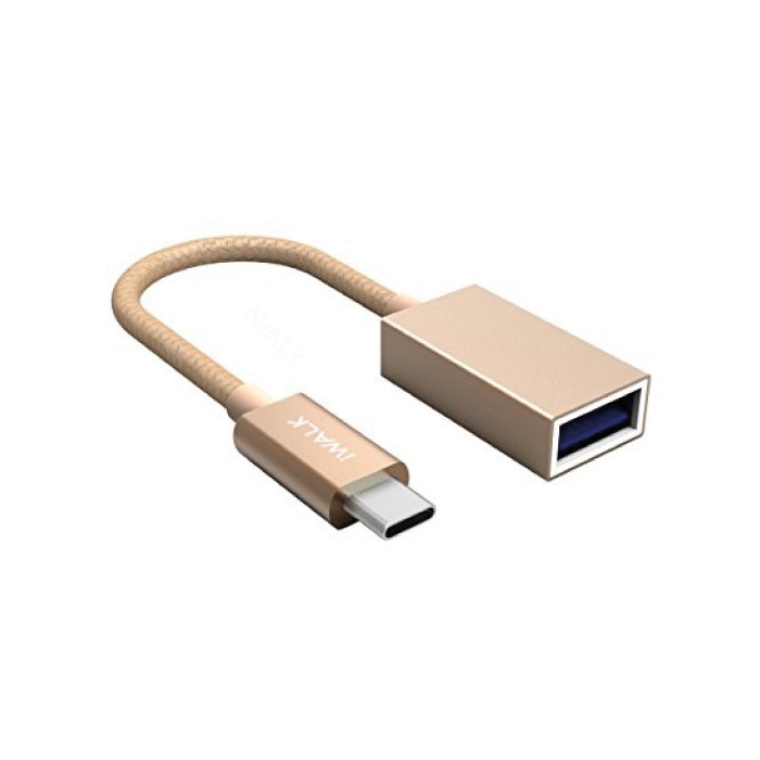 iWalk USB-C to USB Adapter