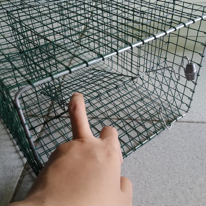 kotak jaring Jebakan Perangkap kandang Tikus masal Mouse Trap sedang dramashop