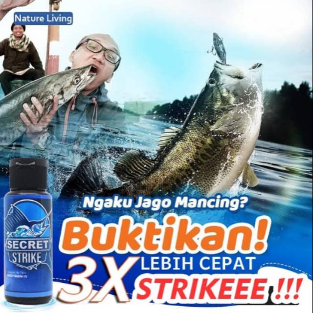 

Secret Strike - Minyak Ikan Hiu Tikus - Rahasia Umpan Pancing Pelaut