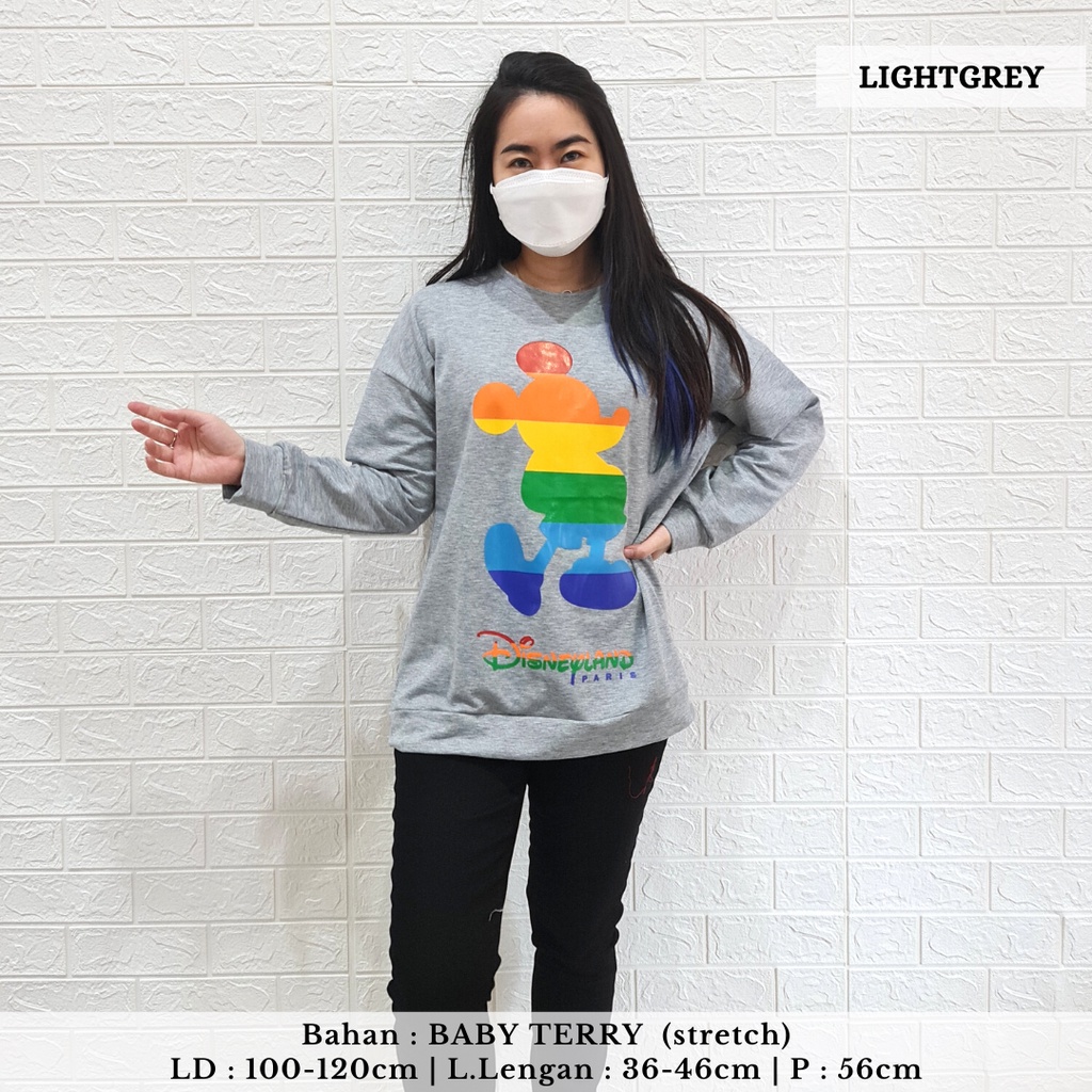 3663 mouse rainbow sweater