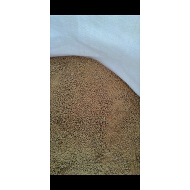 pakan ayam pertumbuhan pur ayam 511