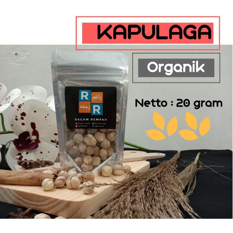 

Kapulaga Murni perbungkus 20 gr (mengobati batuk, pilek, menjaga kesehatan mulut dan tenggorokan)