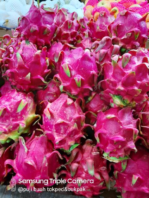 Buah naga merah
