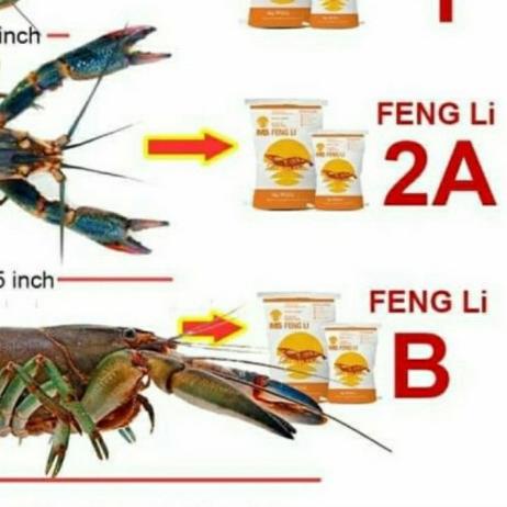 pelet tenggelam fengli 0 pelet lobster pelet udang pelet feng li 0 1kg