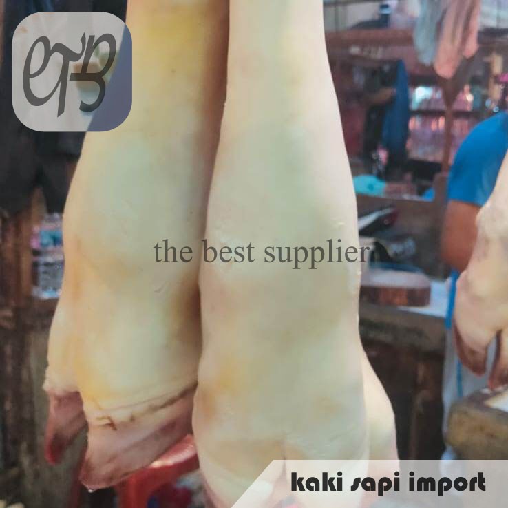 

Kaki Sapi Import Segar