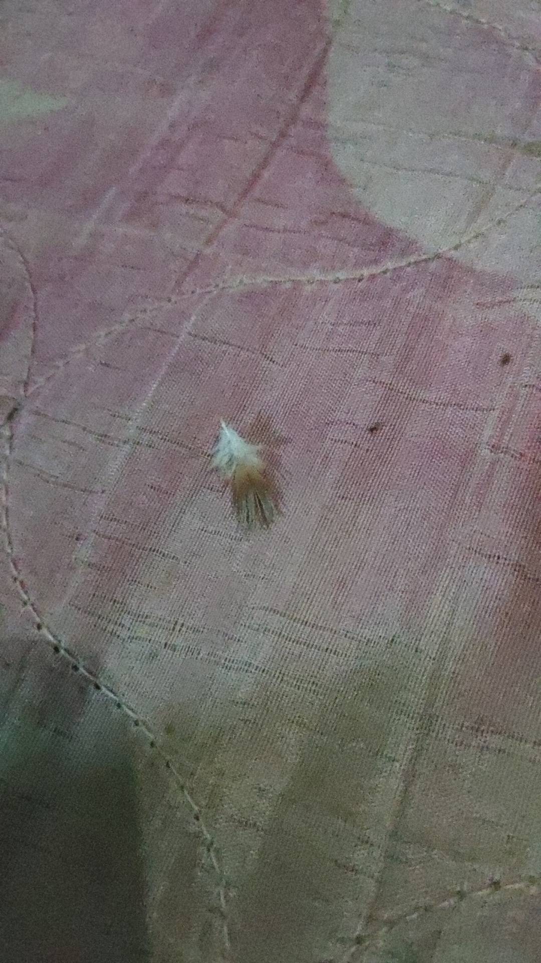 Baju Couple Sahara / Set Couple Brokat / Baju Couple Kekinian / Set Couple Rnb