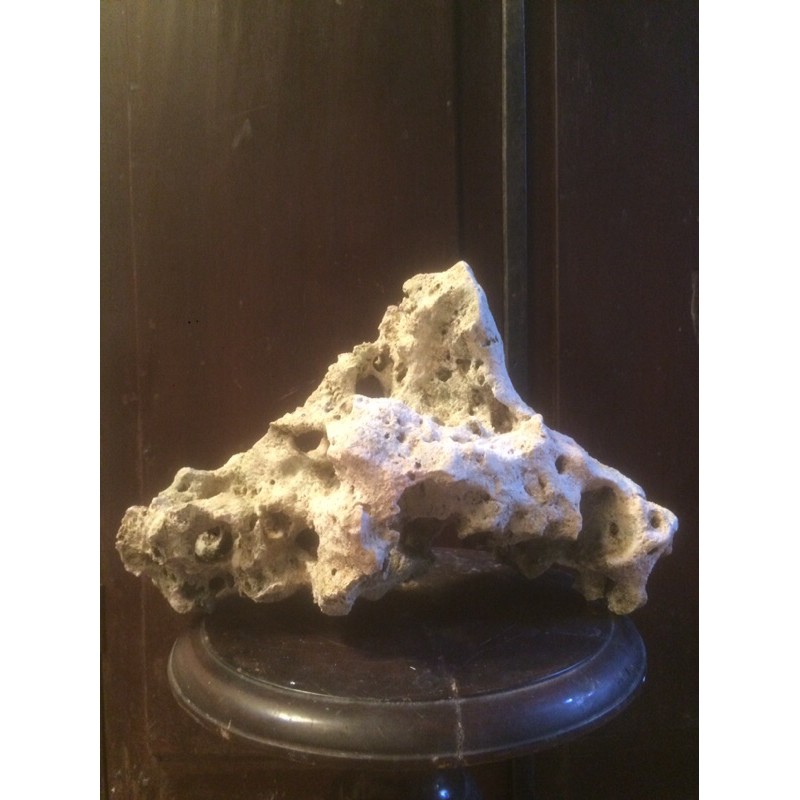 Batu Karang Kapur Gunung