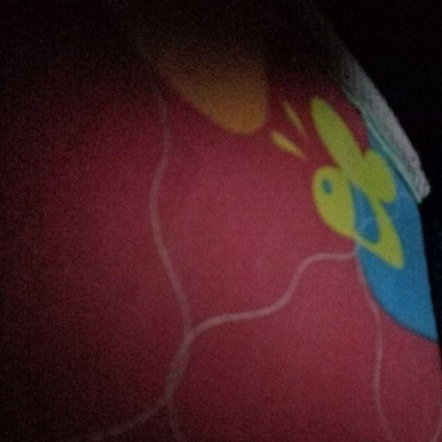 Biji Bunga Dahlia Kuning Jingga (rare Yellow Orange Dahlia Seeds)