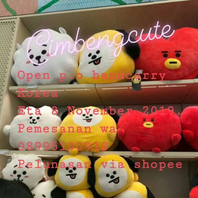 BTS BT21 Official Product Cushion 30cm, 42cm with dustbag