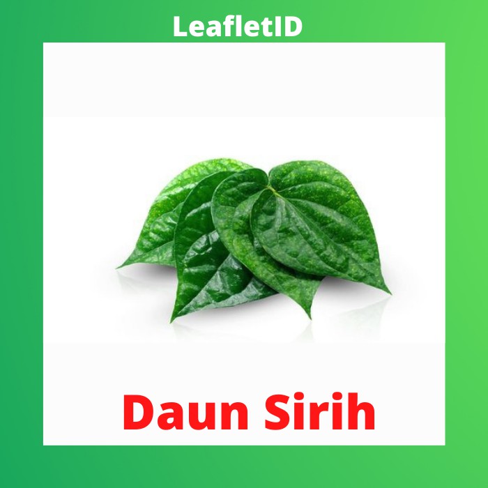 

Daun Sirih Segar per pack fresh