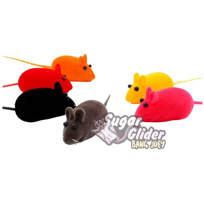 MAINAN KUCING TIKUS BUNYI CIT Cat Toys Dog Toys anjing kucing musang mainan anak kitten adult