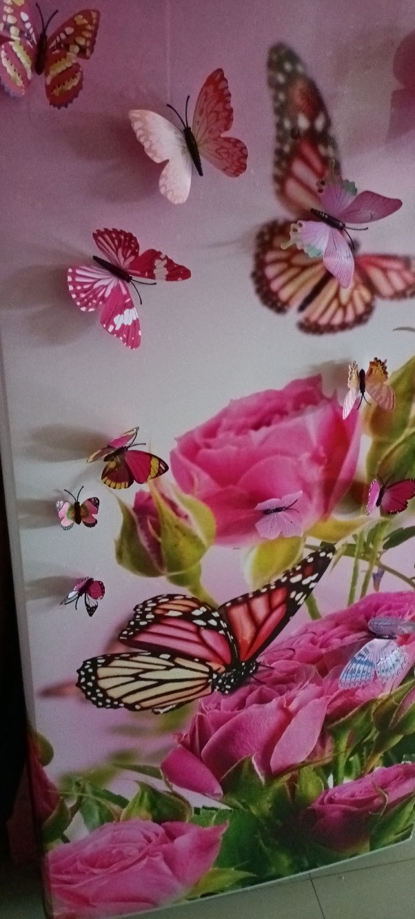 Stiker Pintu Kamar Mandi Kupu-kupu