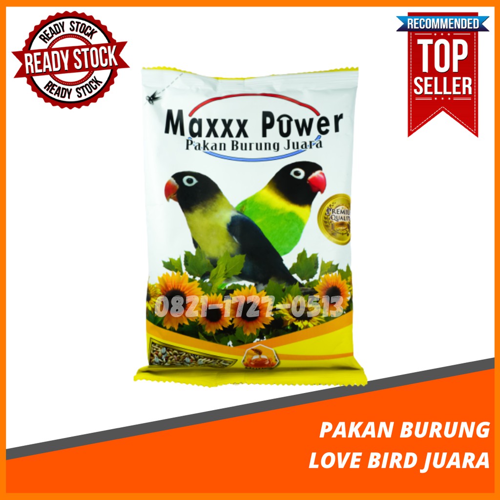 MAXXX POWER Pakan Burung Untuk Lovebird Juara, Pakan Burung Lovebird, Pakan Burung Murah