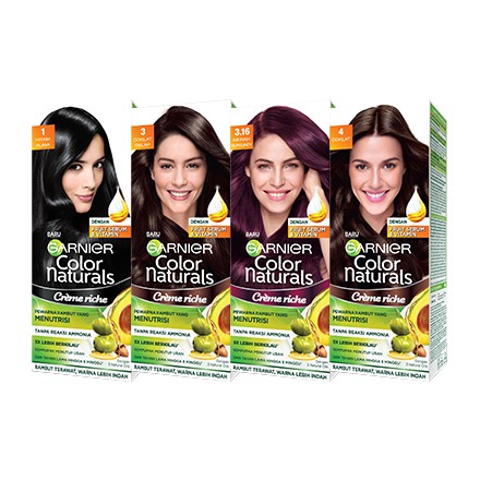 Garnier Color Natural / Cat Rambut Garnier