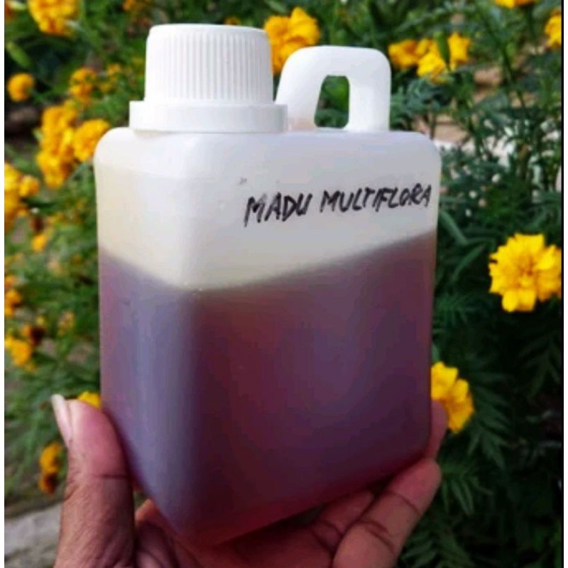 

Madu Multifora (Ukuran 0,5 kg)