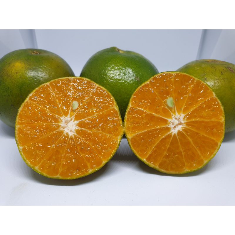 1KG Jeruk Peras Peres FRESH SEGAR TERMURAH IJO KILOAN 1KG Jeruk Peras Peres FRESH SEGAR TERMURAH IJO KILOAN