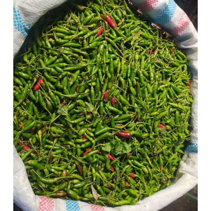 Jual Cabe Cabai Rawit Hijau Caplak Shopee Indonesia