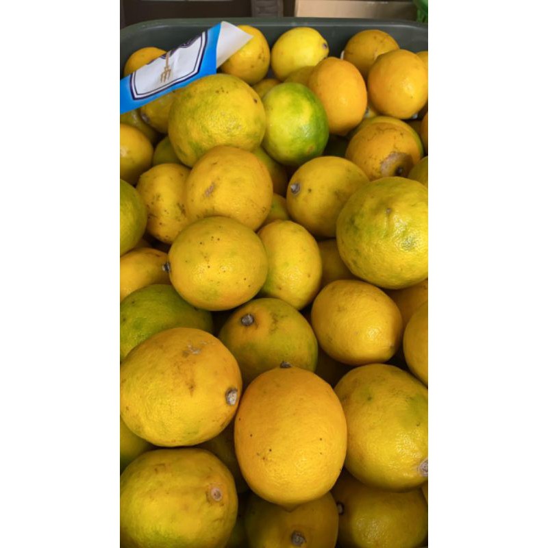 Jeruk Lemon California Kualitas Riject by Suur Lemoen ID 500 gram