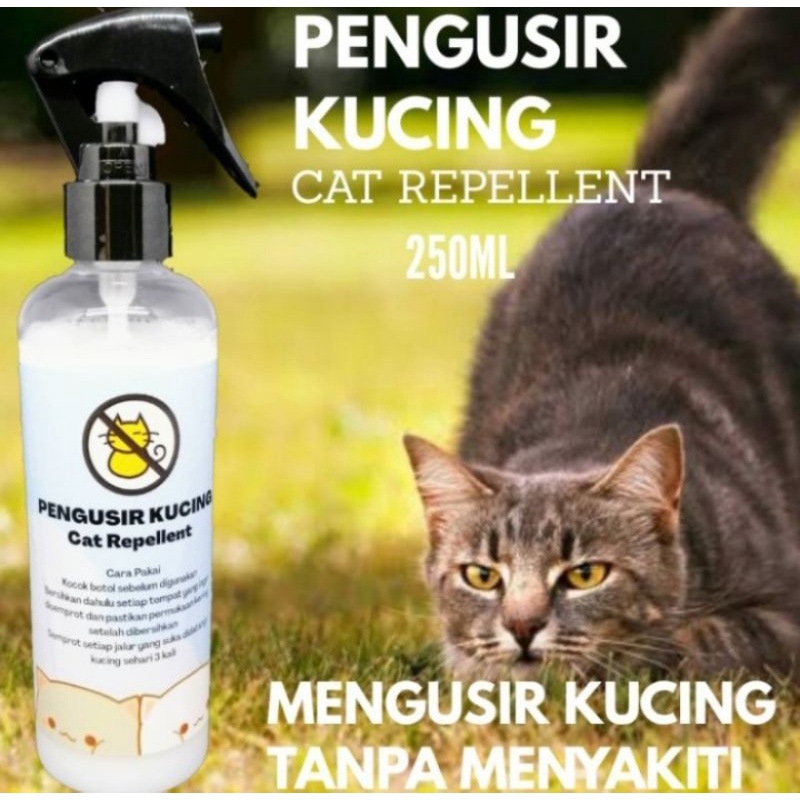 Jual Pengusir Kucing Anti Kucing Cat Repellent Spray Shopee Indonesia