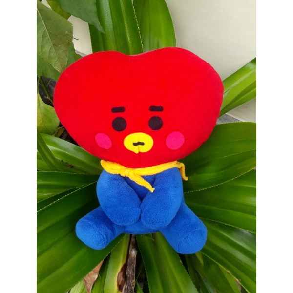Boneka BT21 TATA & RJ