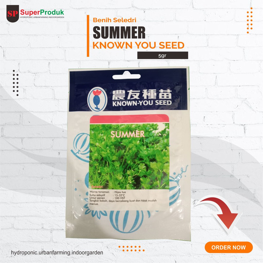 Benih Seledri Summer Known You Seed KYS