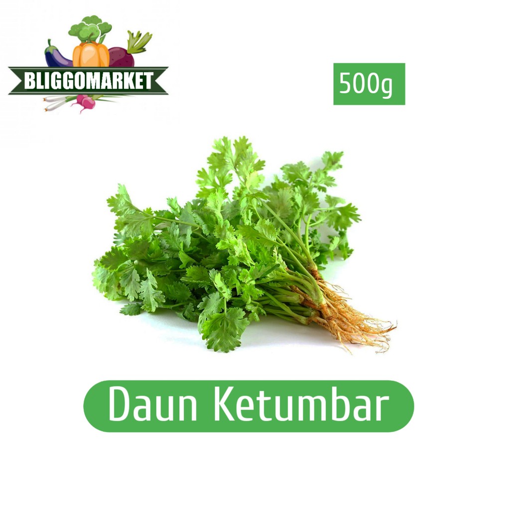 

Daun Ketumbar / Yansui Berat 500gram (Bliggomarket)
