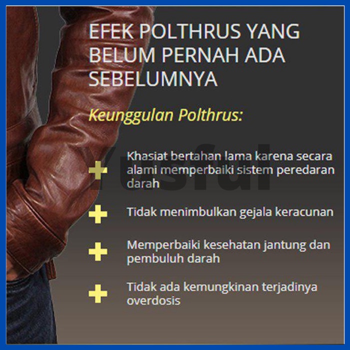 POLTHRUS OBAT HERBAL PRIA DEWASA PERKASA KUAT SACHET ORIGINAL BPOM TERLARIS