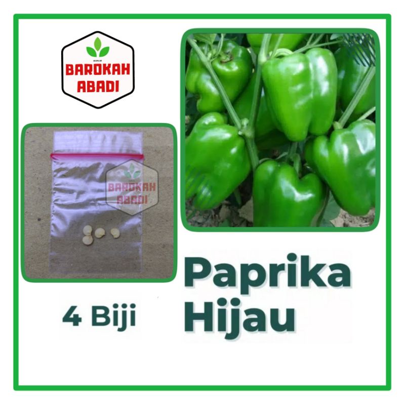 4 Benih Paprika Hijau F1 Hibrida Super Beauty Bell Sayuran Unggul Known You Seed Bibit