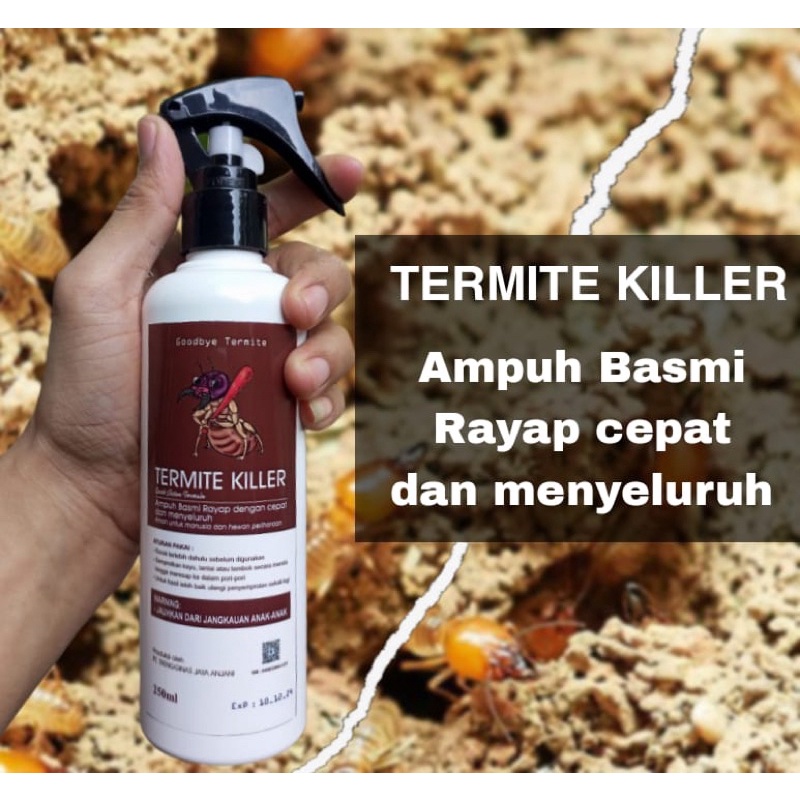 PEMBASMI RAYAP OBAT ANTI RAYAP SEMPROT PEMBASMI RAYAP AMPUH