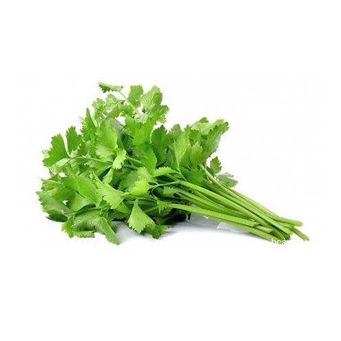 

Daun Ketumbar / Wansui/ Cilantro Organik 100gr-Jkut