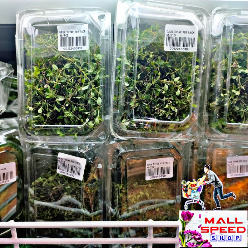 

Daun thyme fresh per pack