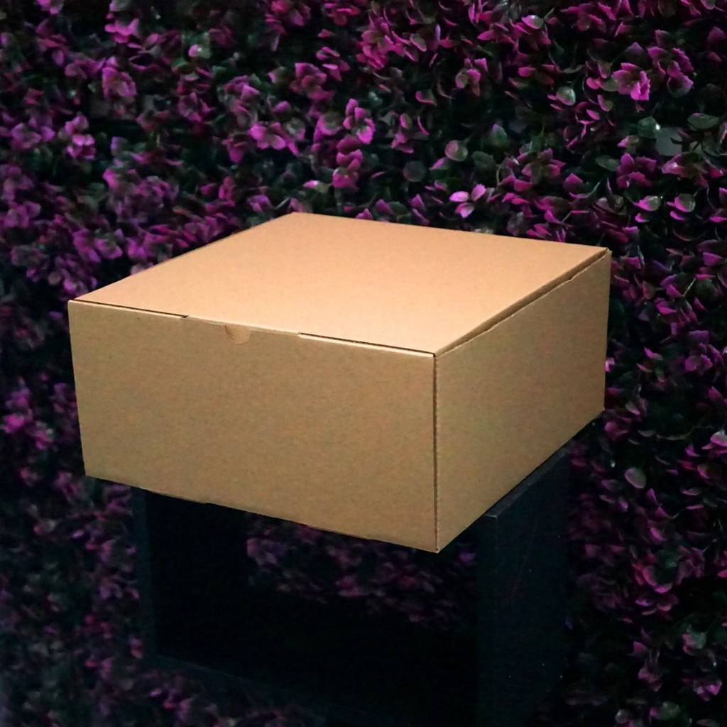 

(Bekasi) Kotak Packaging Polos Tinggi 25 x 25 x 12 cm - Pizza Box - Bentuk Kotak
