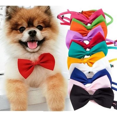 Pet Bow Tie - Dasi Kupu-kupu Adjustable Untuk Anjing/Kucing