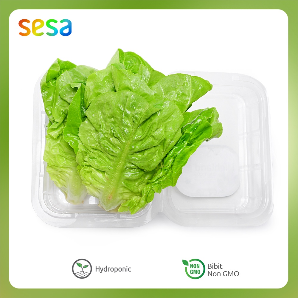 Highland - Salad Baby Cos 250 g