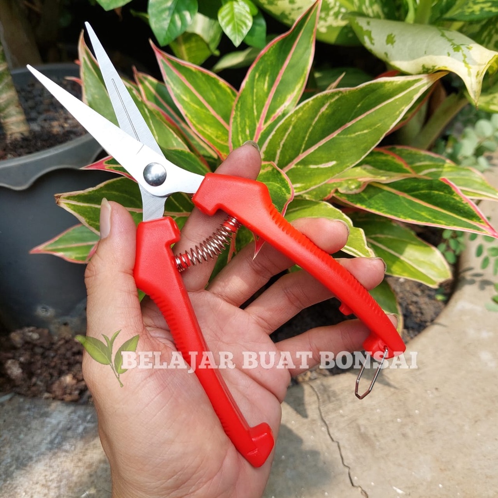 Gunting Dahan Bunga Dan Buah Panjang 18.5 Cm