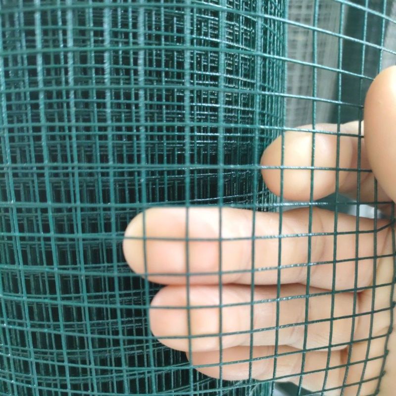 Permeter kawat pvc 1/4 inch anti karat kawat kandang burung kawat ram kawat loket kawat ayak pasir