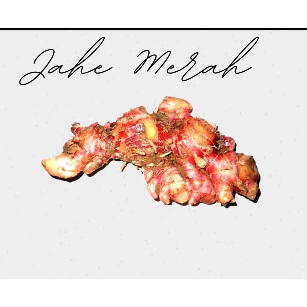 

Jahe Merah 250gram
